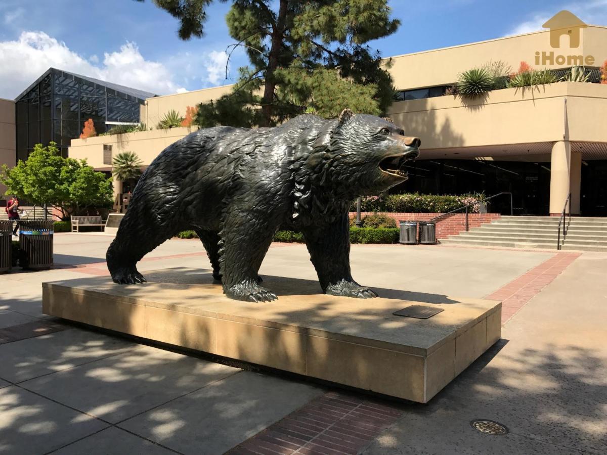 Perfect Apt Near Ucla W Parking Gym Pool Wifi In Westwood B3 Los Angeles Exterior photo